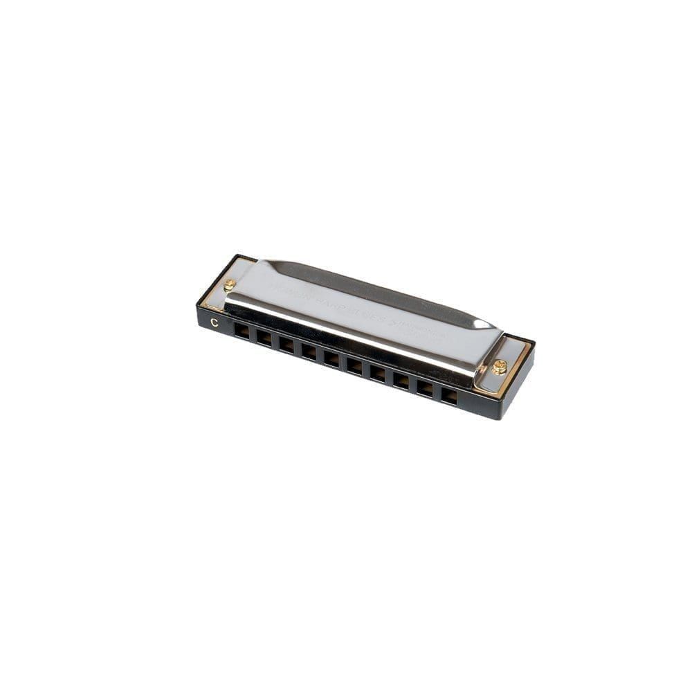Harmonica Mouth Organ in C: 10-hole diatonic with Protective Case