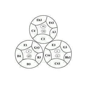 SP-trcestpa - Triple Cello Steel Pans Panyard, painted, stands included - W1065-notes