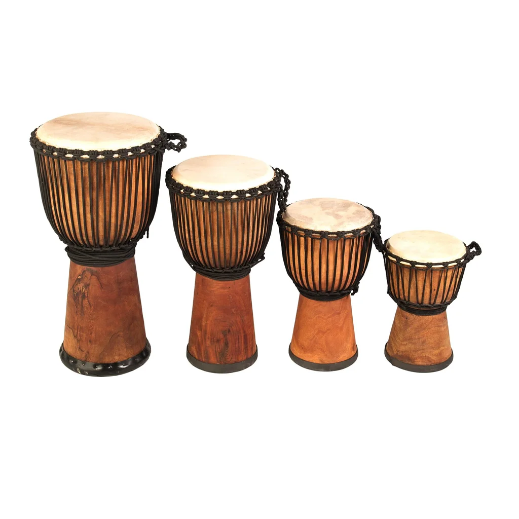 Four different sized Pro Wide Top djembe, rope-tuned with natural skin head and rubber base